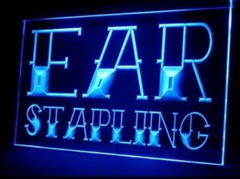 Ear Stapling Tattoo Piercing Body Art Shop LED Neon Sign